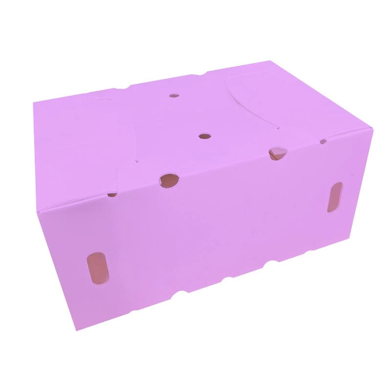 Polypropylene Storage Box factory