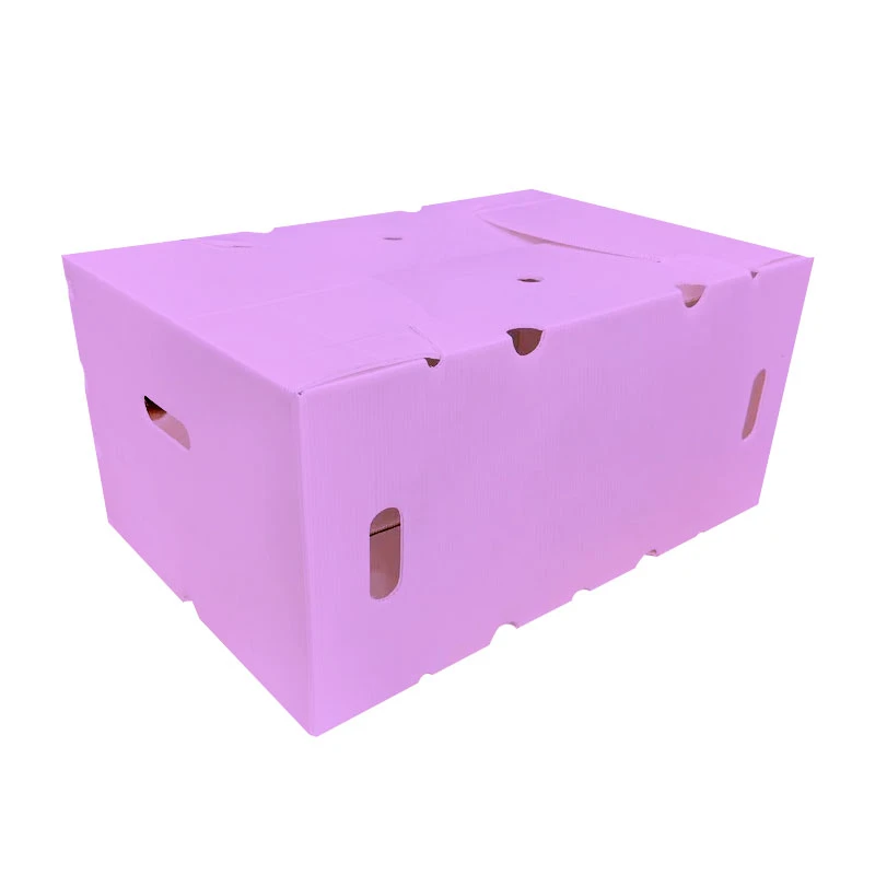 Hộp lưu trữ Polypropylen